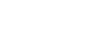 Archon by Platform 3 Solutions white logo