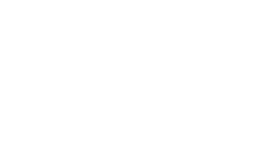 Platform 3 Solutions Logo White