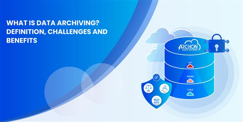 What is Data Archiving